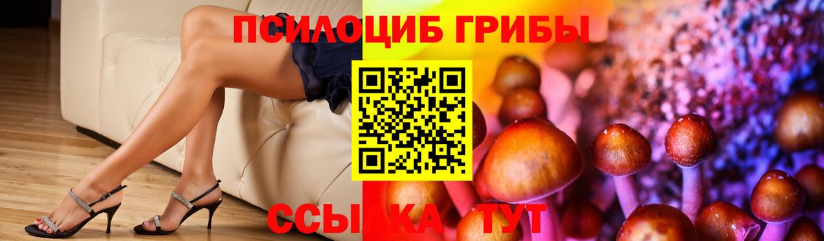 Пенза  Псилоцибиновые грибы Psilocybine cubensis  Вход с VPN 